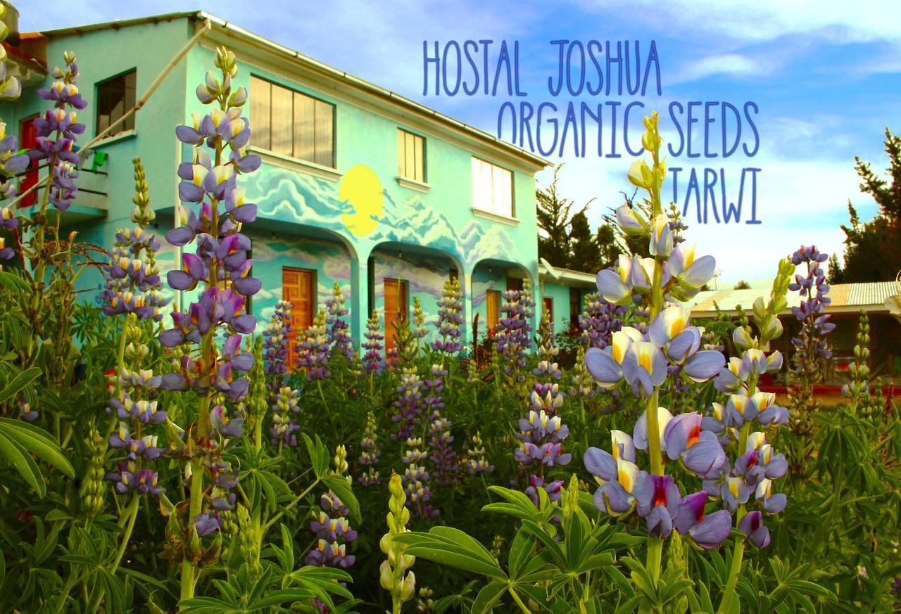 Hostal Joshua Copacabana  Exterior photo